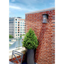 Hinkley Walker LED Outdoor Medium Wall Mount Lantern - HL2104 Alternative Image 4