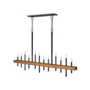 Hinkley Wells Large Twelve Light Linear Pendant 