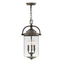 Hinkley Willoughby 10" Outdoor Medium Hanging Lantern 
