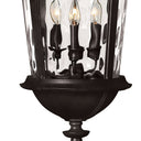 Hinkley Windsor Alternative Image 12.5" Outdoor Large Hanging Lantern in Black Finish Alternative Image 3