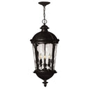 Hinkley Windsor 12.5" Outdoor Large Hanging Lantern in Black Finish 