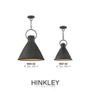 Hinkley Winnie Large Pendant Alternative Image 4