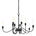Hubbardton Forge 106030 Lisse 10 Light Chandelier 2
