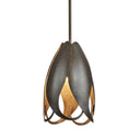 Hubbardton Forge 188770 Pental Mini Pendant 2
