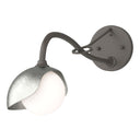 Hubbardton Forge 201376 Brooklyn 1-Light Single Shade Long-Arm Sconce 17