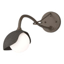 Hubbardton Forge 201376 Brooklyn 1-Light Single Shade Long-Arm Sconce 2