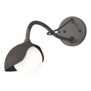 Hubbardton Forge 201376 Brooklyn 1-Light Single Shade Long-Arm Sconce 29