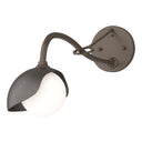 Hubbardton Forge 201376 Brooklyn 1-Light Single Shade Long-Arm Sconce 4