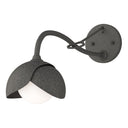 Hubbardton Forge 201377 Brooklyn 1-Light Double Shade Long-Arm Sconce 40