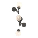 Hubbardton Forge 206050 Sprig Sconce 11