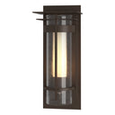 Hubbardton Forge 305996 Banded Seeded Glass Small Outdoor Sconce with Top Plate 2
