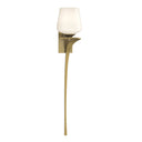 204710 Hubbardton Forge Antasia Single Glass 1 Light Sconce