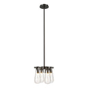 Hubbardton Forge 131062 Eos Semi-Flush/Pendant