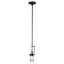 Hubbardton Forge Erlenmeyer Small Mini Pendant 