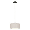 13-9600 Hubbardton Forge Exos Adjustable Pendant - Standard
