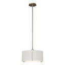 13-9600 Hubbardton Forge Exos Adjustable Pendant - Standard