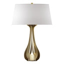 273085 Hubbardton Forge Lino Table Lamp