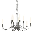 Hubbardton Forge 106030 Lisse 10 Light Chandelier