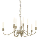 Hubbardton Forge 106030 Lisse 10 Light Chandelier