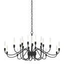 19204320 Hubbardton Forge Lisse 20 Arm Chandelier