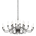 19204320 Hubbardton Forge Lisse 20 Arm Chandelier