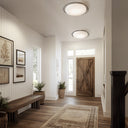 Hubbardton Forge Nova Large LED Flush Mount - 122112