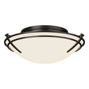 12-4402 Hubbardton Forge Tryne Flush-Mount Fixture