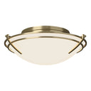 12-4402 Hubbardton Forge Tryne Flush-Mount Fixture
