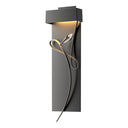 Hubbardton Forge Rhapsody LED Sconce