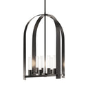 Hubbardton Forge 131071-FD Triomphe 8-Light Pendant