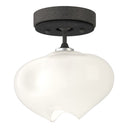 Hubbardton Forge Ume 1-Light Semi-Flush - 121372