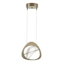 Hubbardton Forge 137730-LED-STND Venn Pendant