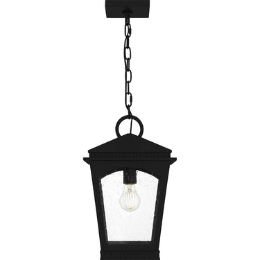 Huck 1 Light Outdoor Pendant in Earth Black 3