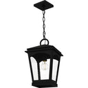 Huck 1 Light Outdoor Pendant in Earth Black 4