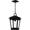 Huck 1 Light Outdoor Pendant in Earth Black 1