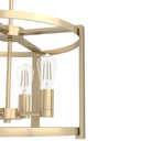 Hunter Lighting 19-HL1 Astwood 4 Light Chandelier 13