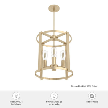 Hunter Lighting 19-HL2 Astwood 4 Light Chandelier 7