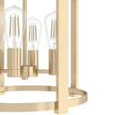 Hunter Lighting 19-HL2 Astwood 4 Light Chandelier 10