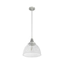 Hunter Lighting 19-HL9 Cypress Grove 1 Light Pendant in Brushed Nickel - Clear Holophane 16