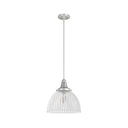 Hunter Lighting 19-HL9 Cypress Grove 1 Light Pendant in Brushed Nickel - Clear Holophane 2