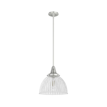 Hunter Lighting 19-HL9 Cypress Grove 1 Light Pendant in Brushed Nickel - Clear Holophane 2