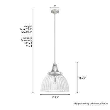 Hunter Lighting 19-HL9 Cypress Grove 1 Light Pendant in Brushed Nickel - Clear Holophane 19