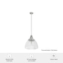 Hunter Lighting 19-HL9 Cypress Grove 1 Light Pendant in Brushed Nickel - Clear Holophane 20