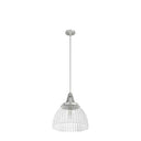 Hunter Lighting 19-HL9 Cypress Grove 1 Light Pendant in Brushed Nickel - Clear Holophane 23