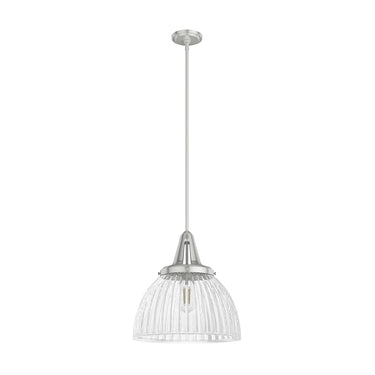 Hunter Lighting 19-HL9 Cypress Grove 1 Light Pendant in Brushed Nickel - Clear Holophane 3