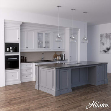 Hunter Lighting 19-HL9 Cypress Grove 1 Light Pendant in Brushed Nickel - Clear Holophane 4