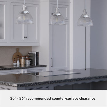 Hunter Lighting 19-HL9 Cypress Grove 1 Light Pendant in Brushed Nickel - Clear Holophane 7