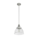Hunter Lighting 19-HL9 Cypress Grove 1 Light Pendant in Brushed Nickel - Clear Holophane 10