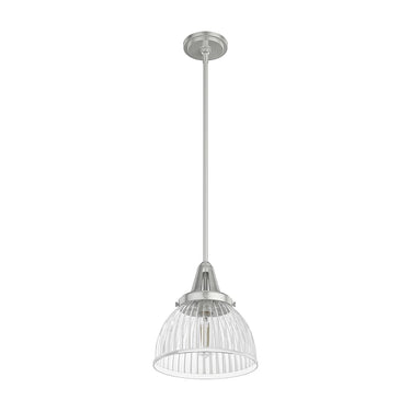 Hunter Lighting 19-HL9 Cypress Grove 1 Light Pendant in Brushed Nickel - Clear Holophane 10