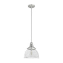 Hunter Lighting 19-HL9 Cypress Grove 1 Light Pendant in Brushed Nickel - Clear Holophane 1
